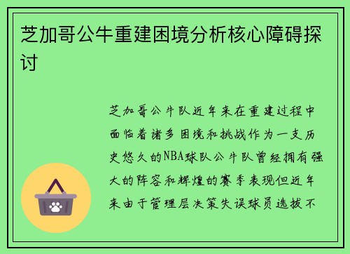 芝加哥公牛重建困境分析核心障碍探讨