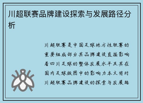 川超联赛品牌建设探索与发展路径分析